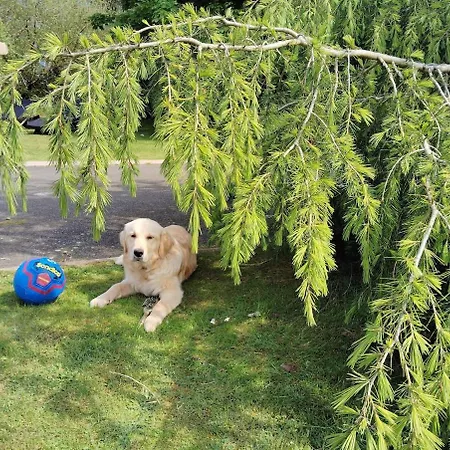 Stylish 4 Bedroom House By The Sea Ferienhaus