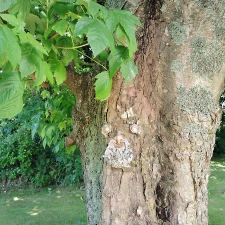 Ferienhaus Stylish 4 Bedroom House By The Sea Wexford