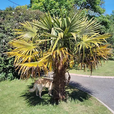 Stylish 4 Bedroom House By The Sea *