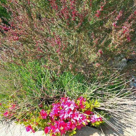 Stylish 4 Bedroom House By The Sea * Wexford