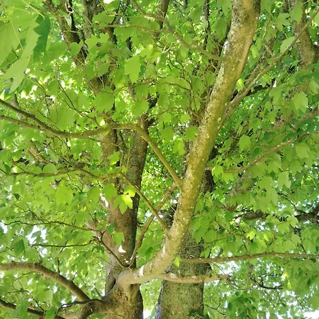 Stylish 4 Bedroom House By The Sea *