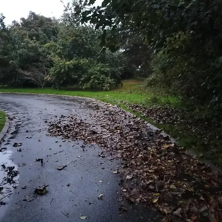 Stylish 4 Bedroom House By The Sea Ferienhaus Wexford