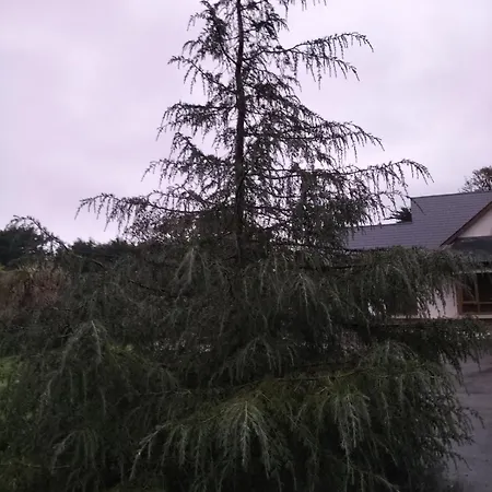 Stylish 4 Bedroom House By The Sea Ferienhaus Wexford