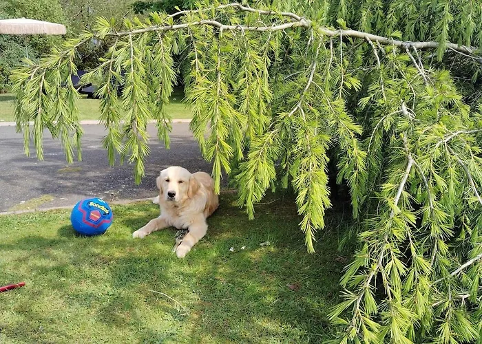 Stylish 4 Bedroom House By The Sea Prázdninový dům