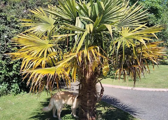 Stylish 4 Bedroom House By The Sea *