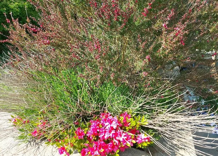 Stylish 4 Bedroom House By The Sea * Wexford