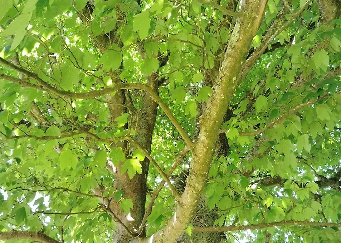 Stylish 4 Bedroom House By The Sea *