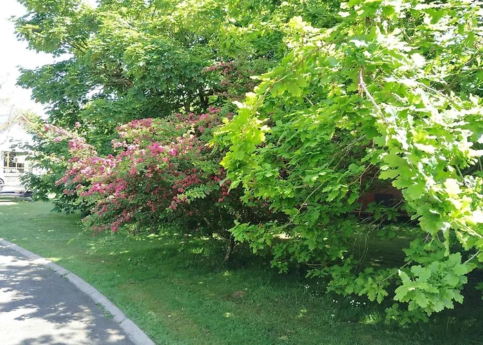 Stylish 4 Bedroom House By The Sea *